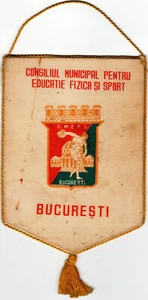 Rumänien, 80er Jahre, Vintage Sport Propaganda Wimpel - C.M.E.F.S. - Bild 1 von 2