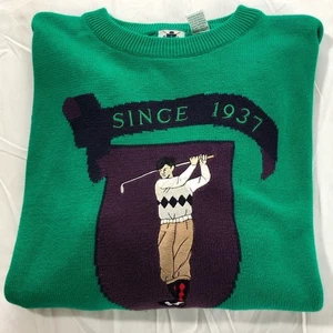 Vintage izod cotton embroidered golf green purple crewneck pullover sweater L - Picture 1 of 12