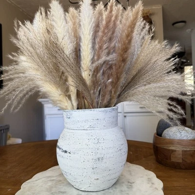 白洗破旧粘土盆花瓶种植器乡村波西米亚农舍 8x5.5 墨西哥 — 第 1/4 张图片