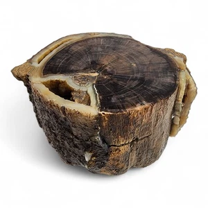 Legno pietrificato grezzo 1 libbra 4,4 oz. - Foto 1 di 6