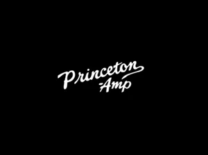 Princeton-Amp Logo Decal - Picture 1 of 1