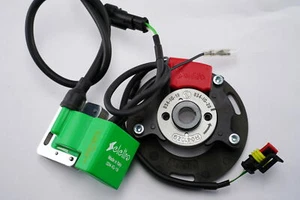 Selettra komplett Zündung OK 034-JG-19 Homologiert Spule Stator Rotor - Bild 1 von 1
