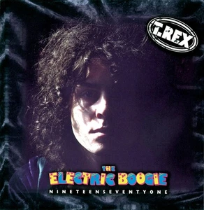 T. Rex - The Electric Boogie (Nineteen Seventy One) (5xCD + DVD-V + Box, Comp, R - Picture 1 of 2