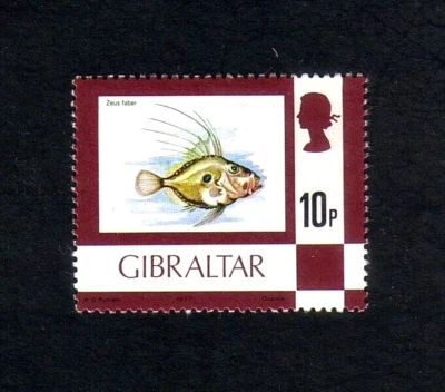 Gibraltar 1977 John Dory fish single value (SG 383) MNH - Image 1 of 2
