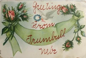 TRUMBULL Nebraska Greetings Flowers 1907 Embossed Vintage Postcard - Picture 1 of 2