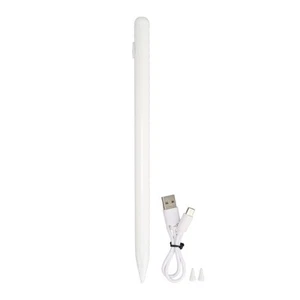 Tablet Magnetic Stylus Active Capacitance Learning Drawing Handwriting Tablet FY - Afbeelding 1 van 24