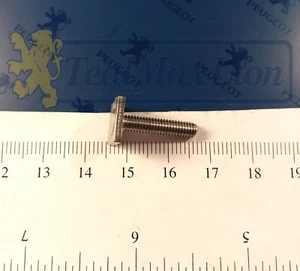 Plaquette à Vis Inox Fixation Enjoliveurs flancs de porte Peugeot 404 cc - Imagen 1 de 3