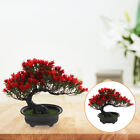 Red Plastic Simulation Welcome Pine Child Plant Saucers For Outdoors
