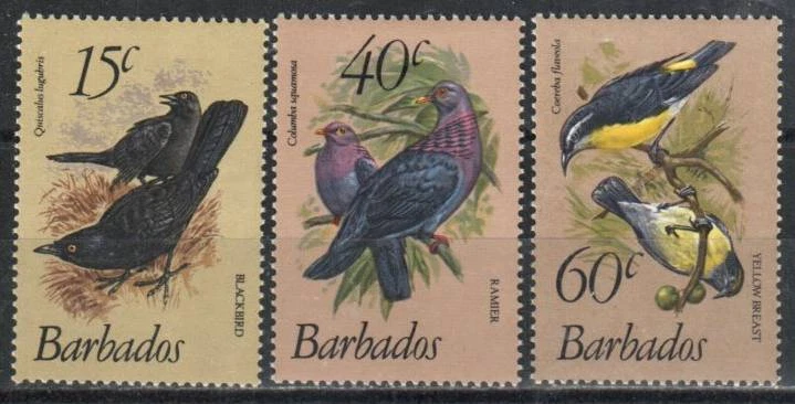 巴巴多斯邮票 570 - 572 - 鸟类 — 第 1/1 张图片