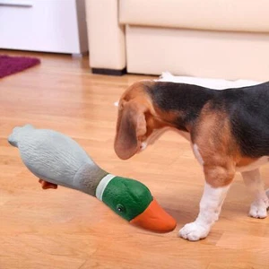 Giocattoli da masticare per cani Squeaky Toy Puppy Small Large Breed Chase - Foto 1 di 12