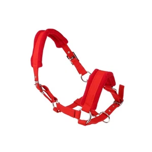 Thicken Pony Horse Halter Head Collar Horse Riding Stable Protective - Picture 1 of 14