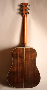 BlueBell W 800 All veneer made of Tama - Picture 1 of 10
