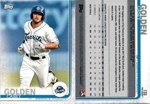Casey Golden 2019 Topps Pro Debut Baseball Card 133  Asheville Tourists