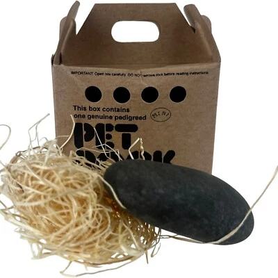 Juguete original Pet Rock 2010 Super Impulse A Phenomenon tamaño mini novedad en caja Foto 1 de 4