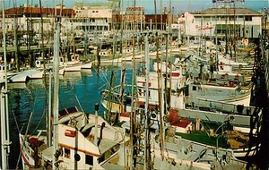Postal San Francisco CA California Fisherman's Wharf flota pesquera Alioto's - Imagen 1 de 2