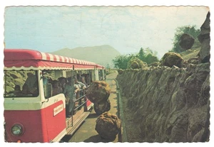 Universal Studios Hollywood Kalifornien Straßenbahn Tour Postkarte Mike Roberts - Bild 1 von 2