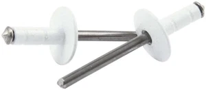 Remaches POP Cabeza Grande 3/16" Remache Acabado Blanco Caja de 250 Sujetadores Coche de Carreras - Imagen 1 de 1