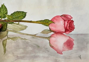 Rose Blume Aquarell Gemälde Original Blumenkunst Rosa Blumen 12x9 Zoll - Bild 1 von 7