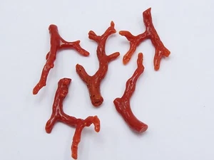 Lote de 5 ramas de palo áspero de coral rojo natural 43X4To31X5MM aproximadamente pulido - Imagen 1 de 12