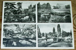 AK ~1950: Berlin Dahlem Botanischer Garten - Bild 1 von 2