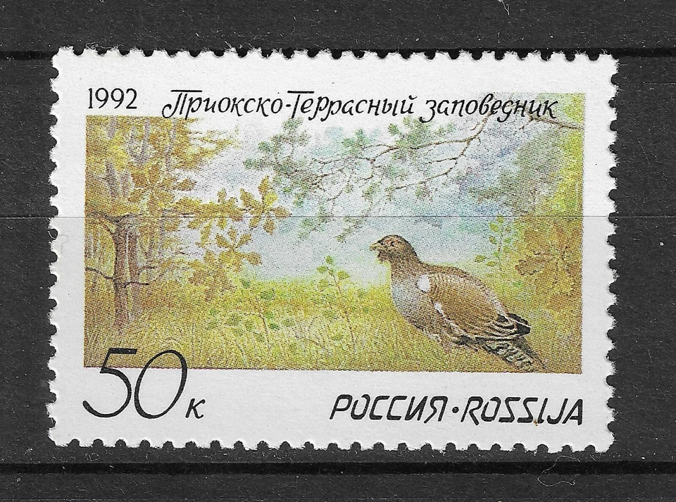 俄罗斯 1992 MiNr。 228 俄罗斯鸟类,西部 Capercaillie 1v 全新无标签 * * 0.30 € — 第 1/1 张图片