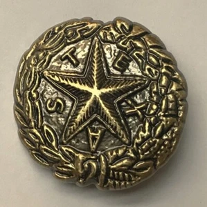 CSA BRASS TEXAS HAT PIN - CONFEDERATE STATES OF AMERICA - REBEL + CIVIL WAR - Picture 1 of 2