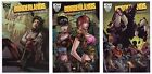 Borderlands #6 #7 #8 (NM LOT) Based Video Game Tannis & the Vault 2014 IDW