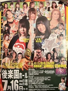 STARDOM Bright Summer Stardom Poster Britt Baker Shotzi Blackheart NXT AEW WWE - Picture 1 of 1