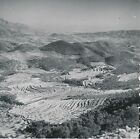 ESPAGNE c. 1950 - Cultures en Terrasses Région Alicante - Div 10289