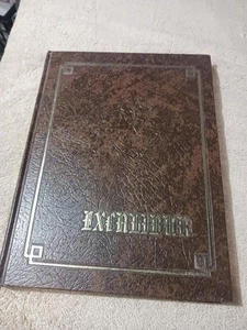 Richwoods High School Jahrbuch 1979 Excalibur Peoria Illinois - Bild 1 von 5