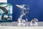 SWAROVSKI SCS 2012 Wal Whale Paikea + Young Annual 1095228+1096741