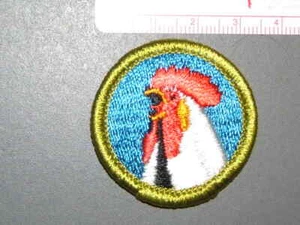 Insignia de mérito de Boy Scout cría de aves de corral aprox. '76-'02 2716R - Imagen 1 de 1