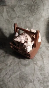 Basket of Seashells 10 shells with a cute lil Basket - Picture 1 of 5