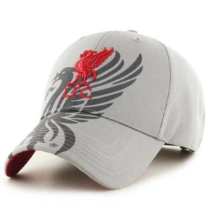Liverpool FC Dual Crest Grey Cap - Picture 1 of 3
