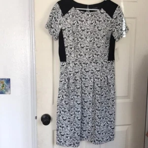En focus Studio Paisley A-Line Dress Women's Black White Silver Size 10 - Picture 1 of 10