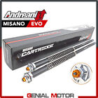 Andreani Adjustable Misano Evo Hydraulic Cartridge Kit For Bmw F 700 Gs 2015 15