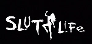 Calcomanía adhesiva de vinilo para ventana de camión broma sexy divertida de puta para adultos - Imagen 1 de 10