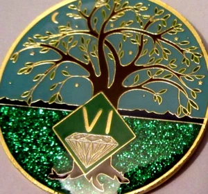 Narcotics Anonymous NA Tree Green 6 Year Medallion Gold Black - Picture 1 of 7
