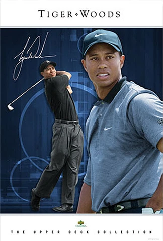 Tiger Woods INTIMIDATION Nike PGA Golf Signature Series 24x36 Wall POSTER Cover