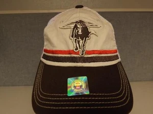 New Texas Tech Red Raiders Mens Unisex Size OSFA Trucker Hat $20 - Picture 1 of 5