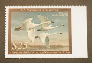 RW90 Federal Duck Hunting Stamps MNH, OG, 2023 Migratory Bird Hunting Stamp - Picture 1 of 2