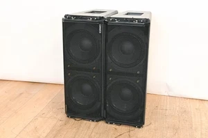 QSC WideLine-10 Dual 10-Inch Wide Line Array Speaker (PAIR) CG01R1F - Picture 1 of 17