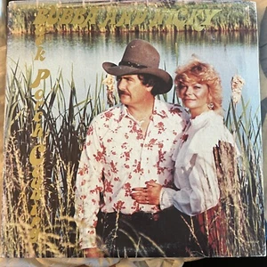 Back Porch Country by BUBBA AND NICKY- vinyl/LP Excellent - Picture 1 of 11
