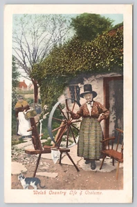 Tarjeta postal del condado de Gales vida y disfraz - Imagen 1 de 2