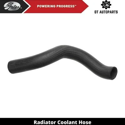 Manguera de refrigerante de radiador de gas V6 3,8 L Buick LeSabre 2000-2005 puertas inferiores 2001 Foto 1 de 4