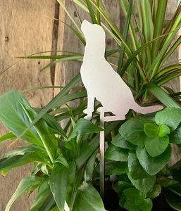 PIANTA DI RAZZA CANE LABRADOR VASO PALO FIORIERA GIARDINO ACCIAIO PUNTA REGALO - Foto 1 di 3