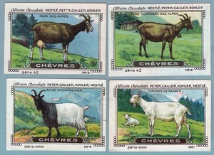 Tarjetas coleccionables TC0186: Chocolats Peter, Nestlè - Serie 42 Chevres - 4/12 - Imagen 1 de 1