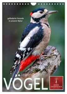 Vögel - gefiederte Freunde in unserer Natur (Wandkalender 2025 DIN A4 hoch), CAL - Bild 1 von 9