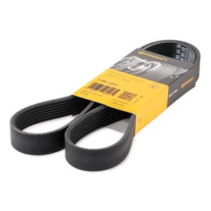 CINGHIA SERVIZI ALTERNATORE POLY V PER AUDI A4 A5 A6 A7 A8 Q5 Q7 PORSCHE CAYENNE - Imagen 1 de 4