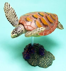 Takara Tomy ARTS 3D Cápsula Enciclopedia Tortuga Marina Verde Figura Vendedor de EE. UU. Nuevo - Imagen 1 de 3
